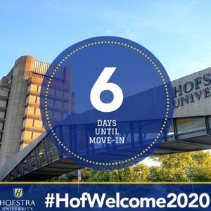 Image post by @hofstrau on Instagram