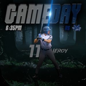 Image post by @duluthhuskies on Instagram