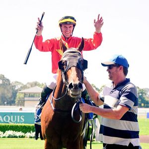 Image post by @australianturfclub on Instagram