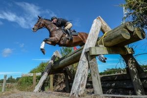 Image post by @NZHorseAmbulanceTrust on Facebook