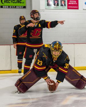 Image post by @cmuhockeyd3 on Instagram