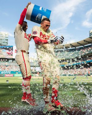 Image post by @Angels on Twitter