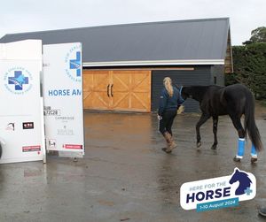 Image post by @nzhorseambulancetrust on Facebook