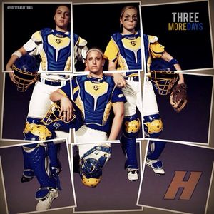 Image post by @hofstrasoftball on Instagram