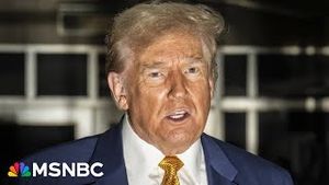 Video post by @msnbc on YouTube