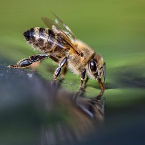 Image post by @discovery on Instagram