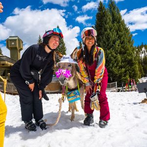 Image post by @winterparkresort on Instagram
