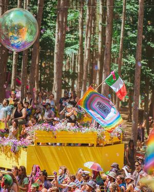 Image post by @electric_forest on Instagram