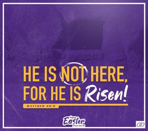 Image post by @onazfootball on Instagram