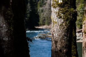 Image post by @jadenrobersonphoto on Instagram