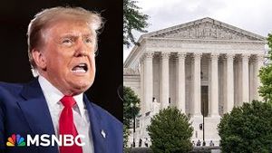 Video post by @msnbc on YouTube