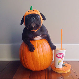 Image post by @JambaJuice on Twitter