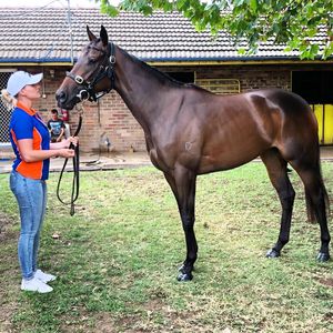 Image post by @australianturfclub on Instagram