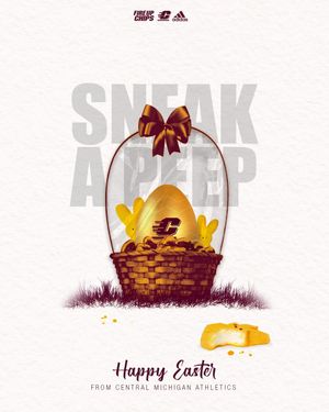 Image post by @cmuathletics on Instagram