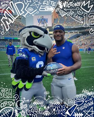 Image post by @blitztheseahawk on Instagram
