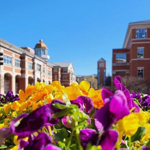Image post by @unccharlotte on Instagram