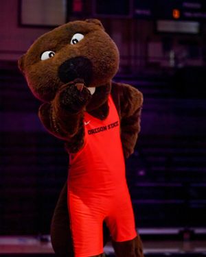 Image post by @beaverwrestling on Instagram