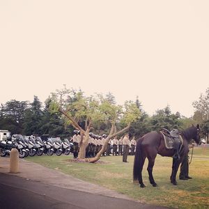 Image post by @vcsheriff on Instagram