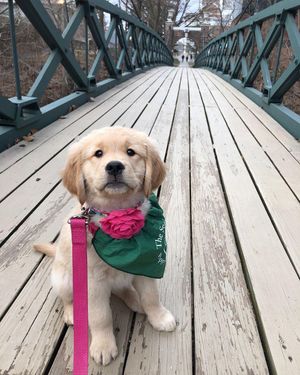 Image post by @rutgersnb on Instagram