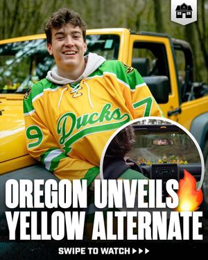 Image post by @hockeyhousepod on Instagram