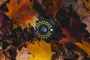 Image post by @auskoo on Instagram
