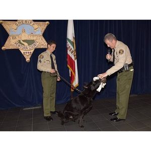 Image post by @vcsheriff on Instagram