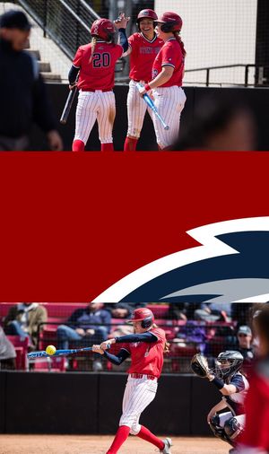 Image post by @StonyBrookSB on Twitter