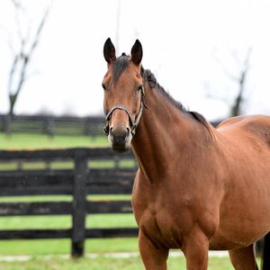 Image post by @spendthriftfarm on Instagram