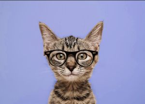 Image post by @jamie.wagasky on Instagram