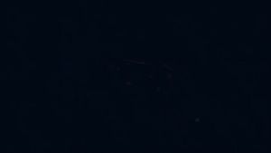 Video post by @goetbutigers on Twitter