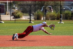 Image post by @usssaslowpitch on Instagram