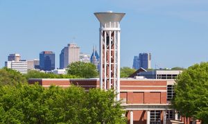 Image post by @tsutigers on Instagram