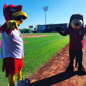 Image post by @springfield_cardinals on Instagram