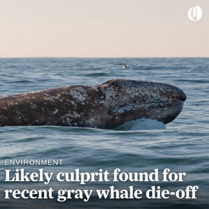 Image post by @theoregonian on Instagram