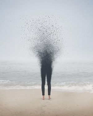 Image post by @fubiz on Instagram