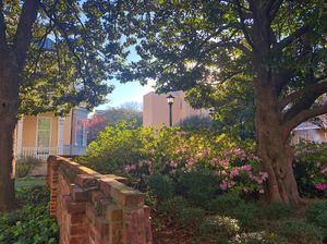 Image post by @uofsc on Instagram