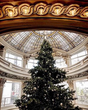 Image post by @onlyinsf on Instagram