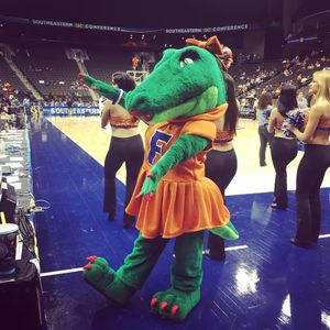 Image post by @albertathegator on Instagram