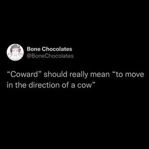 Image post by @9gag on Instagram