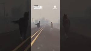 Video post by @accuweather on YouTube