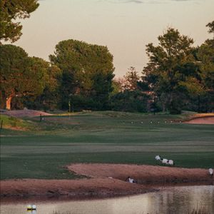 Image post by @glenelggolf on Instagram