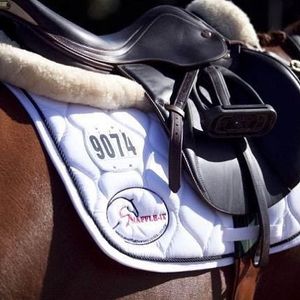 Image post by @snaffle_it on Instagram