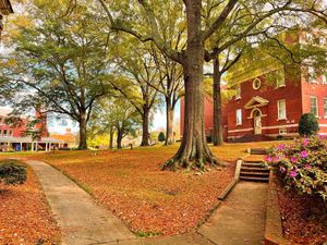 Image post by @presbyteriancollege on Instagram