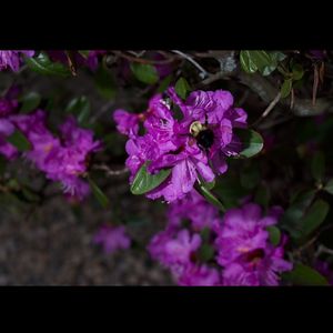 Image post by @adphotography_lab on Instagram