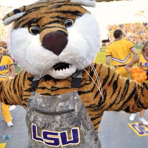 Image post by @lsumiketiger on Instagram