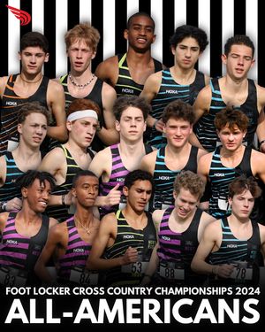 Image post by @dyestat on Instagram
