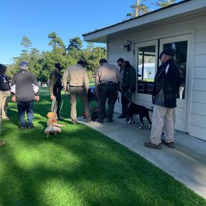 Image post by @espncaddie on Instagram