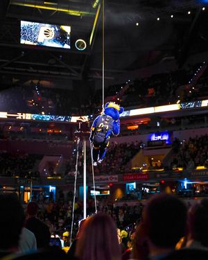 Image post by @PacersBoomer on Twitter