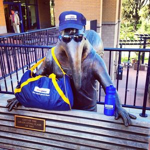 Image post by @bigwestsports on Instagram