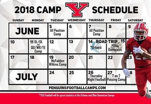 Image post by @youngstownstfb on Instagram
